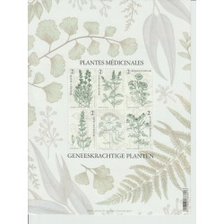 2022 - COB BL311** - Medicinal plants - MNH