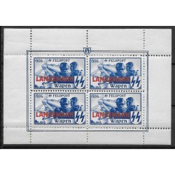 1944 - Errinophilie - COB E49* -  Sheet - MH