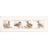 1989 - COB B19** - SCOTT 1324a - Booklet - Ducks - MNH